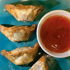 Vegetarisch Gyoza